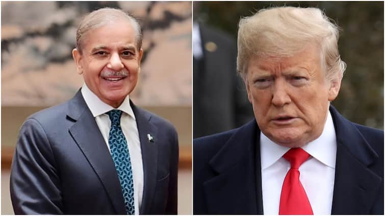 Shehbaz Sharif Likely To Meet Donald Trump In New York On Sep 25, Asim Munir To Join Talks: Pak Media