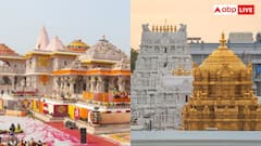 हर मंदिर में एक्स्ट्रा चार्ज देकर होते हैं VIP दर्शन, जानें इससे कितने करोड़ रुपयों की होती है कमाई?