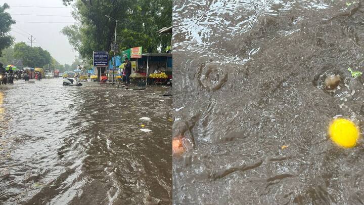 अनेक सोसायट्यांमध्ये पाणी शिरल्याच्या घटना नोंदवण्यात आल्या आहेत. पश्चिम महाराष्ट्रातील पुणे, सांगली आणि सोलापूरला यलो अलर्ट देण्यात आला आहे.