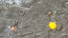 Pune Rain: पुण्यात परतीच्या पावसाची जोरदार बॅटिंग; नागरिकांची उडाली तारांबळ, रस्त्यांवर साचलं पाणीच पाणी, पाहा फोटो