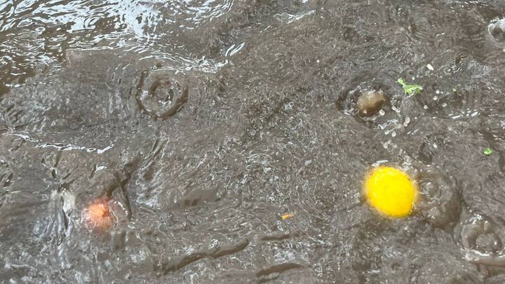 सुरुवातीचा फटका मराठवाड्याला बसला, त्यानंतर सोलापूर, सांगलीसह मध्य महाराष्ट्रातील भागातही अतिवृष्टी झाली. कोकण किनारपट्टीवरही अनेक ठिकाणी पावसाचा जोर कायम आहे. तर रस्ते जलमय झाले, पुणे शहर आणि परिसरात रविवारीपासून पावसाचा जोर वाढलेला आहे. दरम्यान, परतीच्या पावसाला सुरुवात झाली असली तरी सध्या राज्यावर कमी दाबाच्या क्षेत्राचा परिणाम जाणवत आहे.