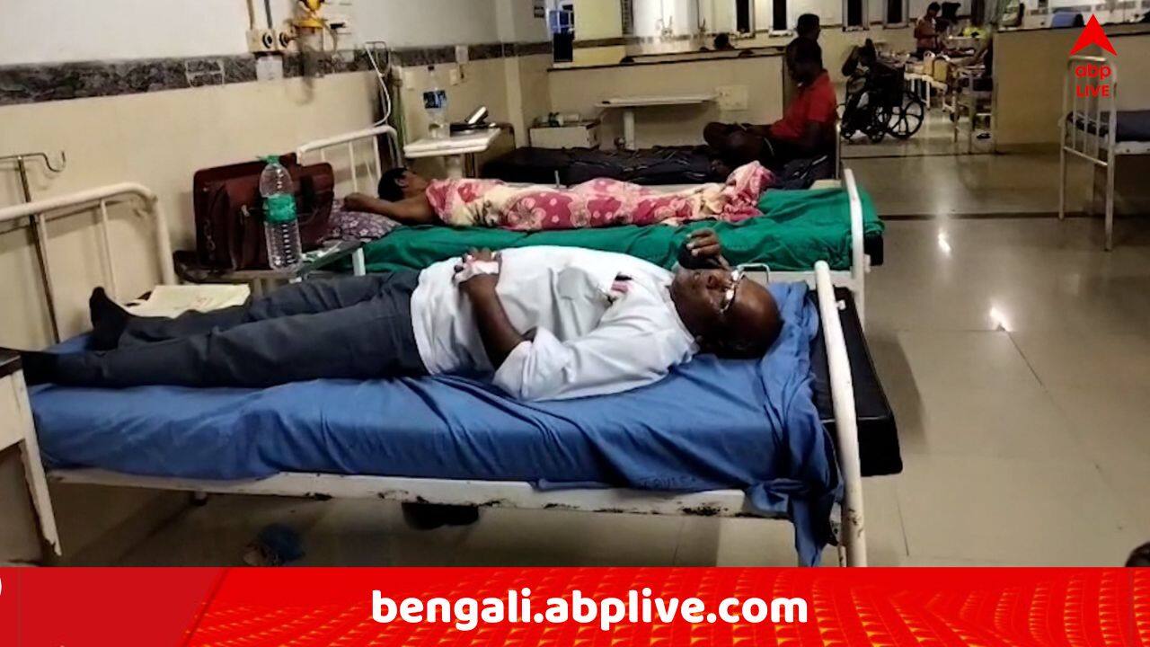 South 24 Parganas News: পড়ুয়াদের সামনেই স্কুলের প্রধান শিক্ষককে 'পেটালেন' তৃণমূল নেতা !