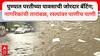 Pune Rain: पुण्यात परतीच्या पावसाची जोरदार बॅटिंग; नागरिकांची उडाली तारांबळ, रस्त्यांवर साचलं पाणीच पाणी, पाहा फोटो