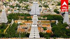 திருவண்ணாமலை கிரிவலப்பதை ஆக்கிரமிப்பு விவகாரம் ; உயர்நீதிமன்றம் அதிரடி உத்தரவு