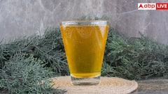 Fenugreek Water Benefits: उबला या भीगा हुआ... कैसा मैथी वॉटर सेहत के लिए अच्छा, जानें किस तरह इसे करें कंज्यूम?