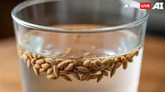 Metabolism Booster Drink: जीरा वॉटर बेस्ट है या चिया सीड्स का पानी, जानें वजन घटाने के लिए दोनों में कौन ज्यादा कारगर?