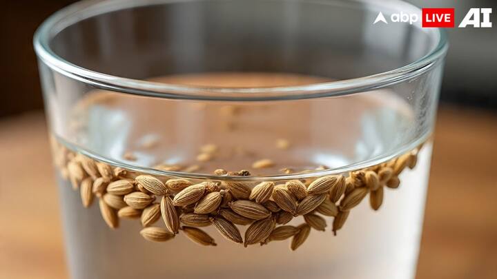 जीरा यानी क्यूमिन एंटीऑक्सीडेंट और आयरन से भरपूर होता है. इसमें मौजूद एसेंशियल ऑयल्स पाचन को तेज करते हैं और कैलोरी भी बहुत कम होती है.