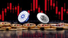 SOL and ADA Are Done This Bull Run, The Top 2 Coins of September Now Includes MUTM and XRP, Here is Why