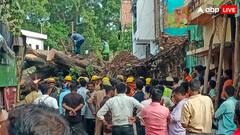 लखनऊ में 150 साल पुराना पेड़ गिरने से एक मौत, घटना की सूचना मिलते ही मौके पर पहुंचे डिप्टी CM