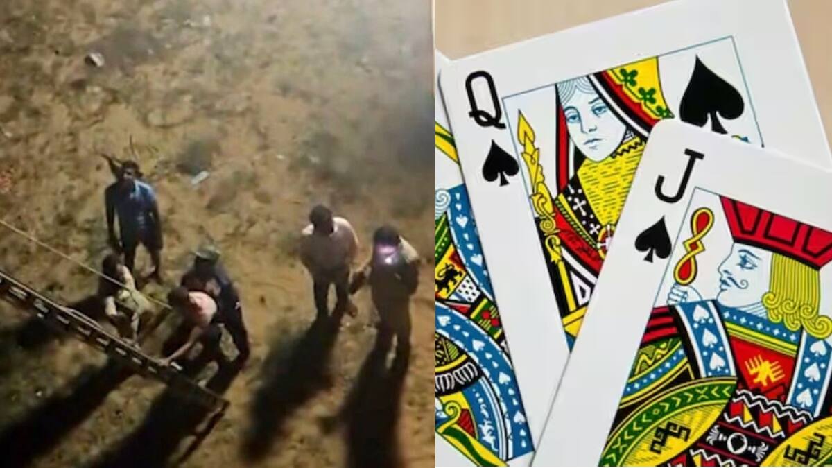 Viral News: పేకాడ ఆడేందుకు నదిలోకి వెళ్లిన యువకులు, ప్రాణభయంతో కేకలు- ఊహించని ట్విస్ట్