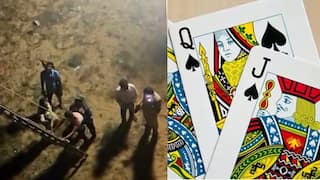 Viral News: పేకాట ఆడేందుకు నదిలోకి వెళ్లిన యువకులు, కాసేపటికే ప్రాణభయంతో కేకలు- ఊహించని ట్విస్ట్