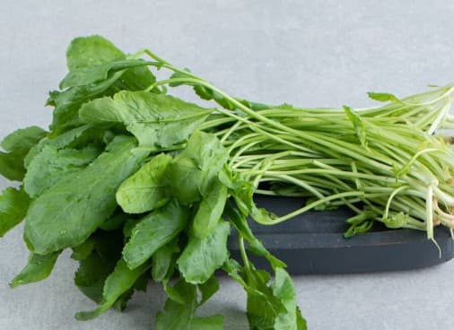 vegetables Unhealthy rainy season