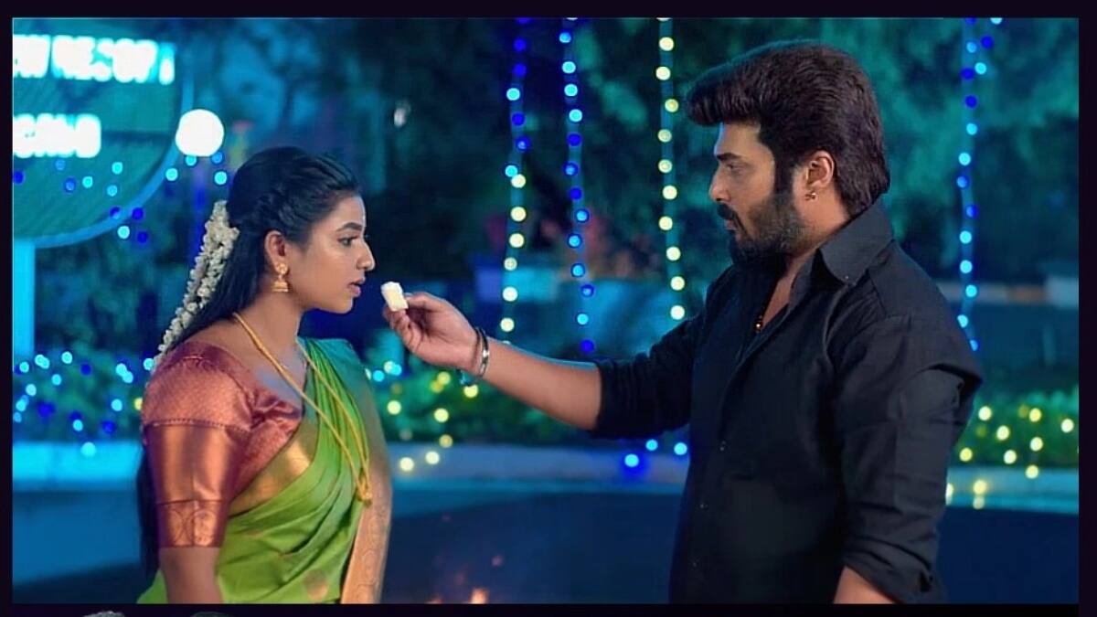 Karthigai Deepam: சாமியாராக மாறிய மயில்வாகனம்.. கையை விரித்த வழக்கறிஞர் - அடுத்து நடக்கப்போவது என்ன?