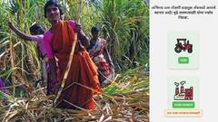 ऊसतोडणीतील फसवणूक थांबवण्यासाठी सोलापूरच्या पठ्ठ्याने तयार केलं मोबाईल ॲप, नेमका काय फायदा होणार?