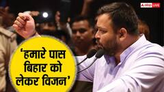 'उनका राजनीतिक करियर खत्म', सीएम नीतीश पर तेजस्वी का तंज, कहा- चुनाव के बाद वो...