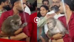 Video: बीमार जानवरों के लिए बनाया 10 लाख का आश्रम, बंदर ने किया उद्घाटन, भावुक हो गए लोग!