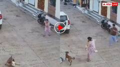 15 महीने की मासूम पर टूट पड़ा आवारा दरिंदा! मां-बाप ने दौड़कर बचाई जान- वीडियो वायरल