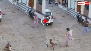 15 महीने की मासूम पर टूट पड़ा आवारा दरिंदा! मां-बाप ने दौड़कर बचाई जान- वीडियो वायरल