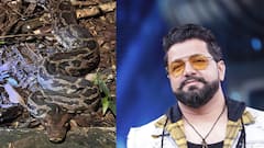 पाल दिसली की घाबरणाऱ्यांनो, आमच्या नगरीत दोन अजगर सापडले, अवधूत गुप्तेंची पोस्ट नेमकी काय?