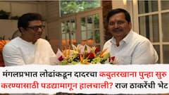 मंगलप्रभात लोढांकडून दादरचा कबुतरखाना पुन्हा सुरु करण्यासाठी पडद्यामागून हालचाली? राज ठाकरेंची भेट, चर्चांना उधाण