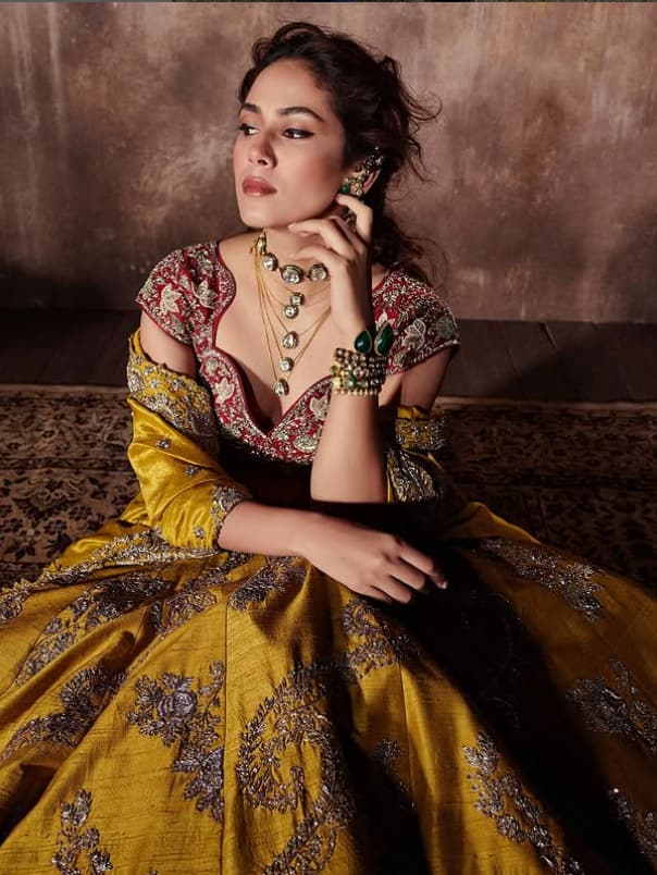 In this picture, Meera Rajput includes a beautiful golden lehenga and red work blouse. And has completed the look with heavy jewelery in the neck and bangle in hand.