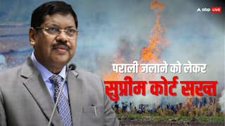 'कुछ को जेल भेजो, ये हमें अन्न देते हैं तो इसका मतलब....', पराली जला रहे किसानों के लिए राज्यों से बोले CJI गवई