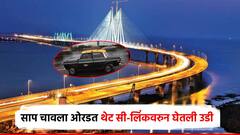 साप चावल्याची आरडाओरडा करत टॅक्सी थांबवली; मुंबईतील व्यवसायिकाची वरळी सी-लिंकवरु उडी