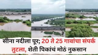 Solapur Rain News: सीना नदीला पूर; 20 ते 25 गावांचा संपर्क तुटला, शेती पिकांचं मोठं नुकसान, पुराच्या वेढ्याची दृश्यं