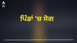 Punjab News: เจตเจฟเจฆเฉเจธเจผ 'เจ เจเจฟเจธเจฎเจค เจ
เจเจผเจฎเจพเจเจฃ เจเจ 4 เจชเฉฐเจเจพเจฌเฉ เจจเฉเจเจตเจพเจจเจพเจ เจฆเฉ เจฎเฉเจค, เจชเจฐเจฟเจตเจพเจฐ เจตเจพเจฒเจฟเจเจ เจฆเจพ เจฐเฉ-เจฐเฉ เจฌเฉเจฐเจพ เจนเจพเจฒ, เจชเจฟเฉฐเจกเจพเจ 'เจ เจธเฉเจ