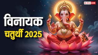 Vinayak Chaturthi 2025: संतान सुख और धन प्राप्ति के लिए करें ये उपाय, बप्पा होंगे प्रसन्न!