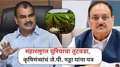 महाराष्ट्रात युरियाचा साठा संपत आलाय, कृषिमंत्र्यांचं जे.पी. नड्डा यांना पत्र; केंद्राकडे तातडीची मागणी
