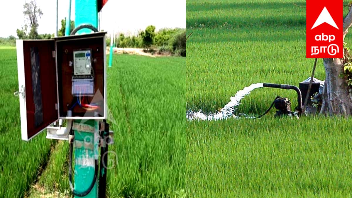 விவசாயிகளுக்கு குட் நியூஸ்! 50,000 புதிய மின் இணைப்புகள்: அரசு அதிரடி முடிவு!