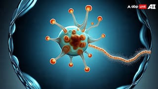 Kerala PAM: क्या है दिमाग खाने वाला अमीबा, जिसने केरल में ले ली 19 लोगों की जान, स्वास्थ्य मंत्री ने क्या बताया?