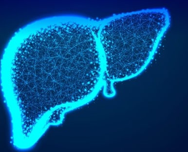 लिवर पर असर: लगातार खाना खाकर सोने की आदत लिवर पर अतिरिक्त बोझ डालती है. लिवर को डाइजेशन के लिए ज्यादा मेहनत करनी पड़ती है, जिससे उसकी कार्यक्षमता कम हो सकती है.