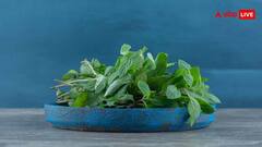 तुलसी का एक पत्ता 100 बीमारियों की दवा, जानें इसके चमत्कारी फायदे