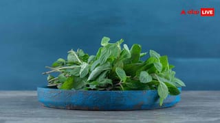 Tulsi Leaves for Health: तुलसी का एक पत्ता 100 बीमारियों की दवा, जानें इसके चमत्कारी फायदे