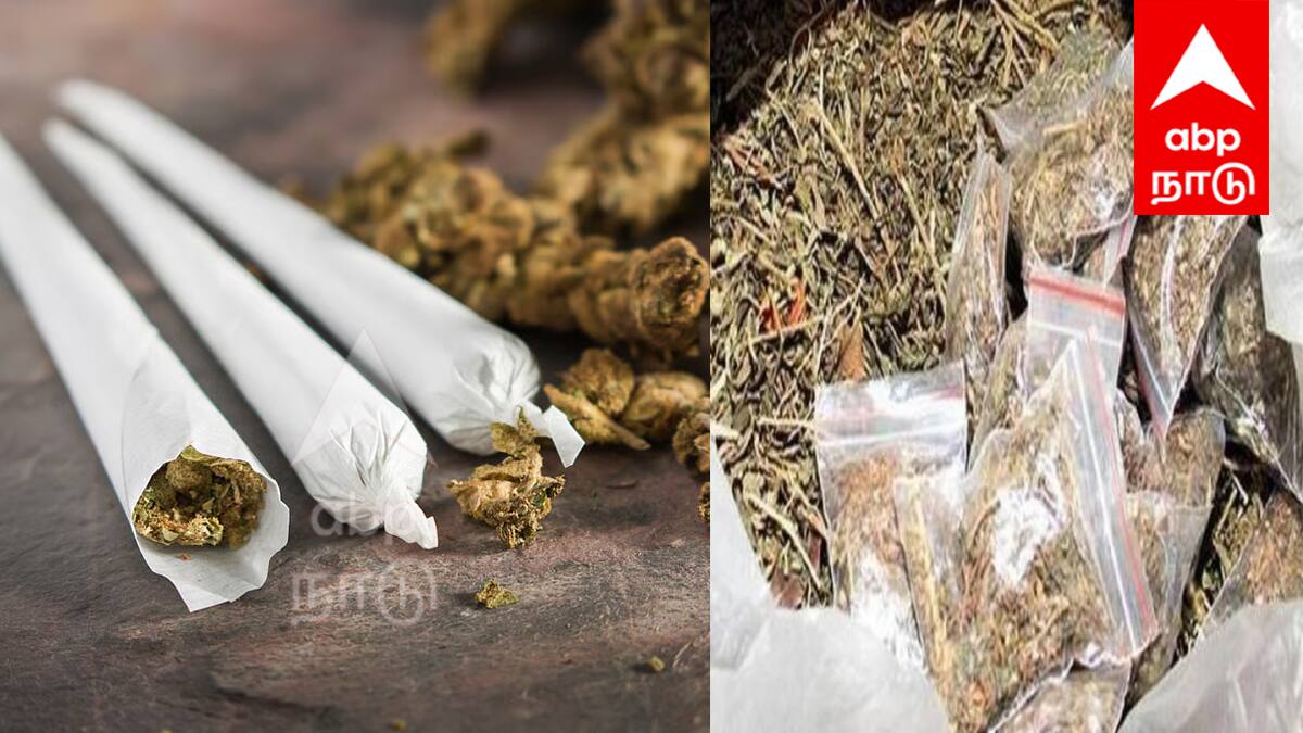 சேலம் ரயிலில் கஞ்சா கடத்தல்: , கடத்தல்காரர்கள் தப்பி ஓட்டம்! போலீஸ் திணறல்