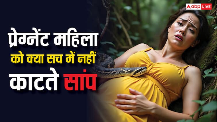 Myth or Fact: गर्भवती महिला को क्या सच में नहीं काटते सांप, जानें प्रचलित मान्यता का रहस्य