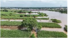 Solapur Rain News: सीना नदीला पूर; 20 ते 25 गावांचा संपर्क तुटला, शेती पिकांचं मोठं नुकसान, पुराच्या वेढ्याची दृश्यं