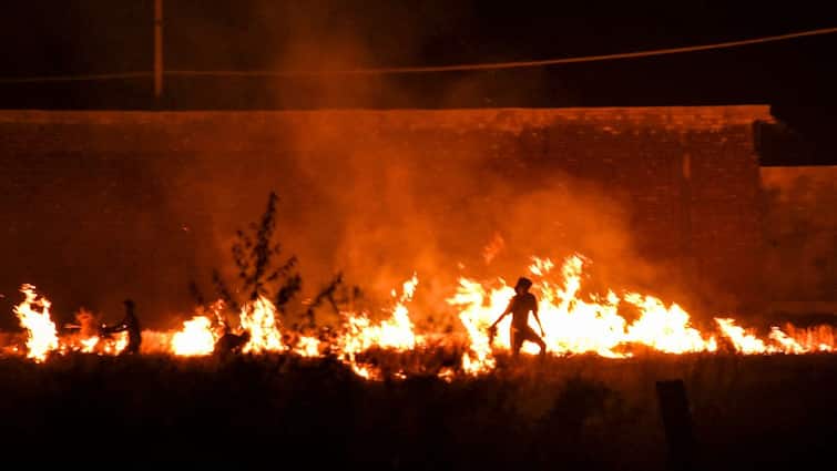<div>Stubble Burning: Supreme Court Asks Punjab Why Errant Farmers Aren't Arrested Over Pollution</div>