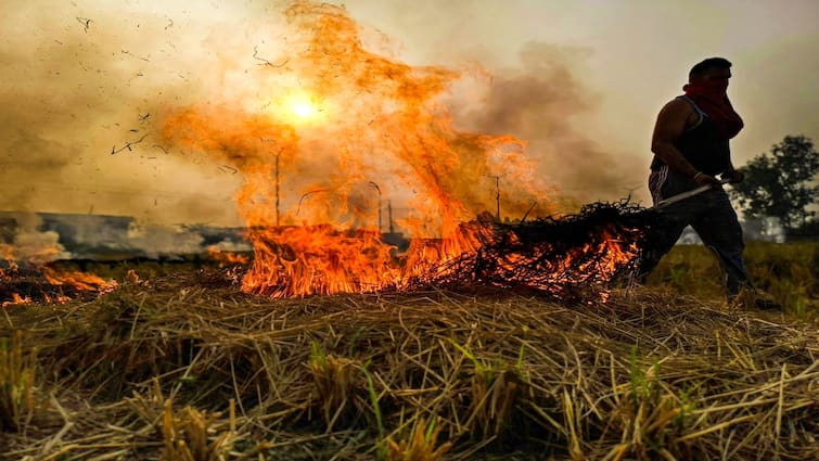 <div>'If Some Are Jailed, It Will Send Right Message': Supreme Court On Stubble Burning And Air Pollution</div>