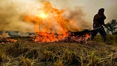 'If Some Are Jailed, It Will Send Right Message': Supreme Court On Stubble Burning And Air Pollution