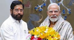 महाराष्ट्र सरकार का अनोखा तोहफा, पीएम मोदी के जन्मदिन पर शुरू की 'नमो पार्क' बनाने की योजना