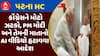 Patna High Court: પટના HCનો કોંગ્રેસને મોટો ઝટકો, PM મોદી અને તેમની માતાનો AI વીડિયો હટાવવા આદેશ