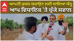 ਆਪਣੀ ਫ਼ਸਲ ਬਚਾਉਣ ਲਈ ਲਾਇਆ ਬੰਨ੍ਹ, ਆਪ ਵਿਧਾਇਕ 'ਤੇ ਚੁੱਕੇ ਸਵਾਲ