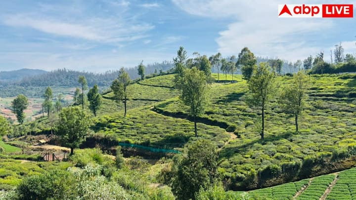 कूर्ग (कर्नाटक) 