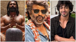 2025 Box Office Report: इस साल किस फिल्म ने कितनी कमाई की? टॉप 10 लिस्ट देखें