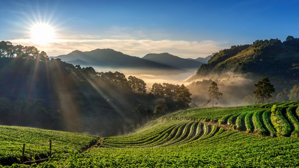 (Image Source: freepik)