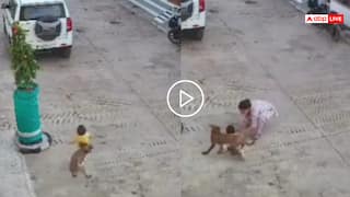 Video: 15 महीने की बच्ची को आवारा कुत्ते ने नौंचा, मां बनी सुपरमैन, वीडियो देख सहम जाएंगे आप!