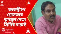 Kakdwip News: কাকদ্বীপে শিক্ষক পেটানো তৃণমূল নেতা অবশেষে গ্রেফতার ত্রিদিব বারুই